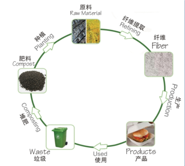 為什么說紙漿模塑是循環經濟產業鏈條